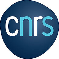 access to the CNRS website